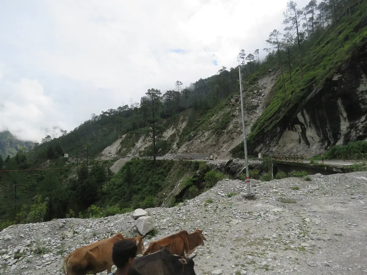 Mountain road cut into a steep green slope with loose rock beside it