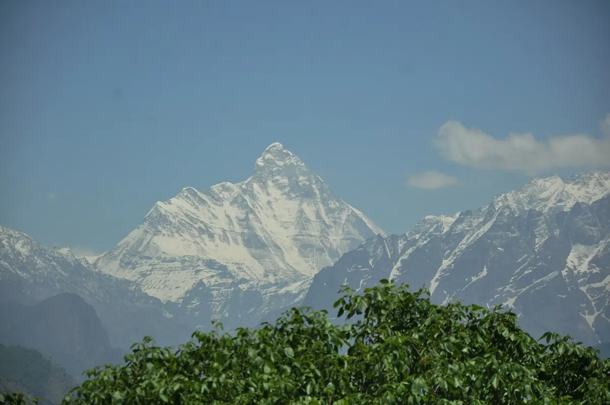 Nanda Devi rising above forest seen from Auli